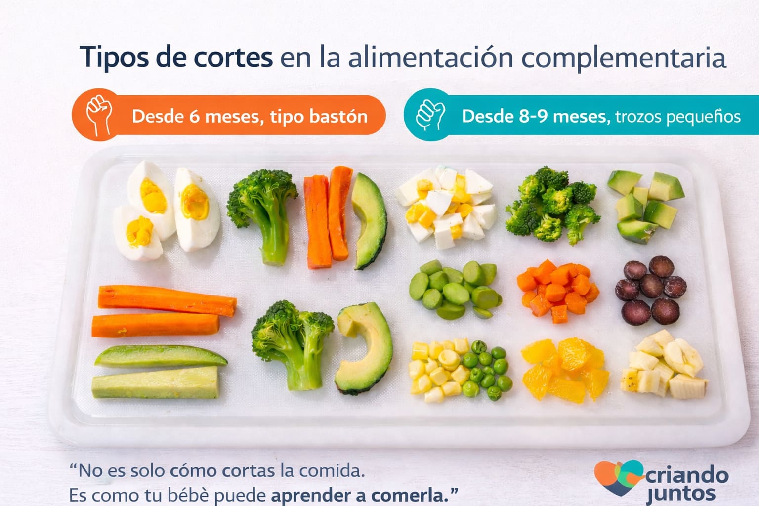Tipos de cortes en la alimentación complementaria: cuándo ofrecer bastones y cuándo pasar a trozos pequeños